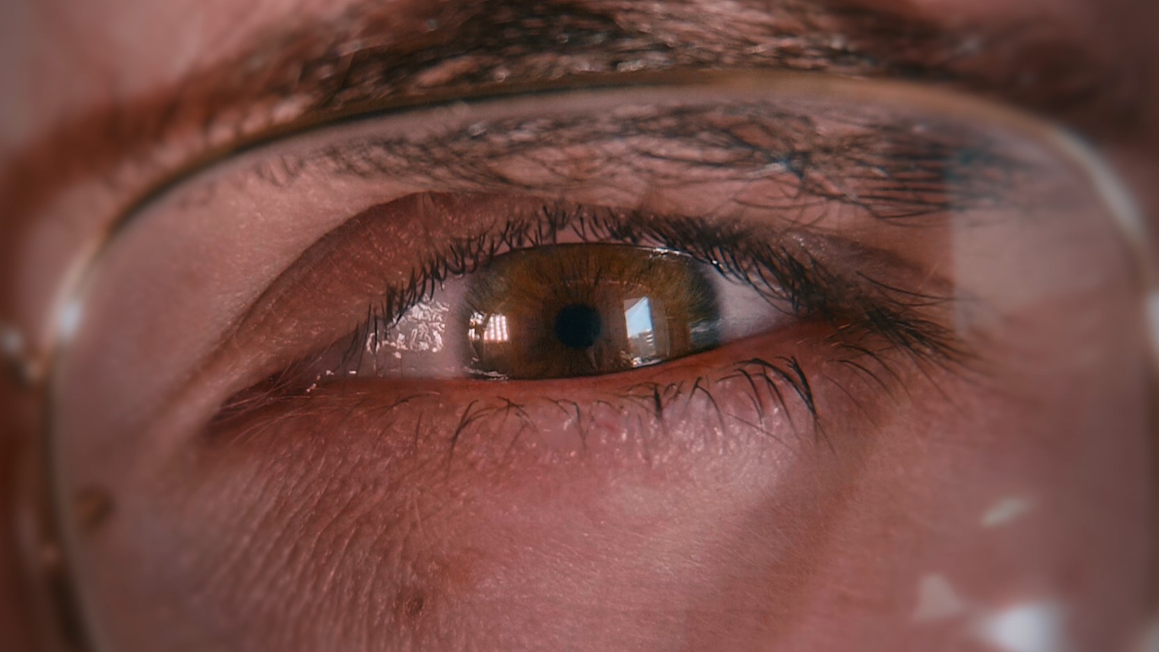 La vision de Lilian – les origines de Patatrac!